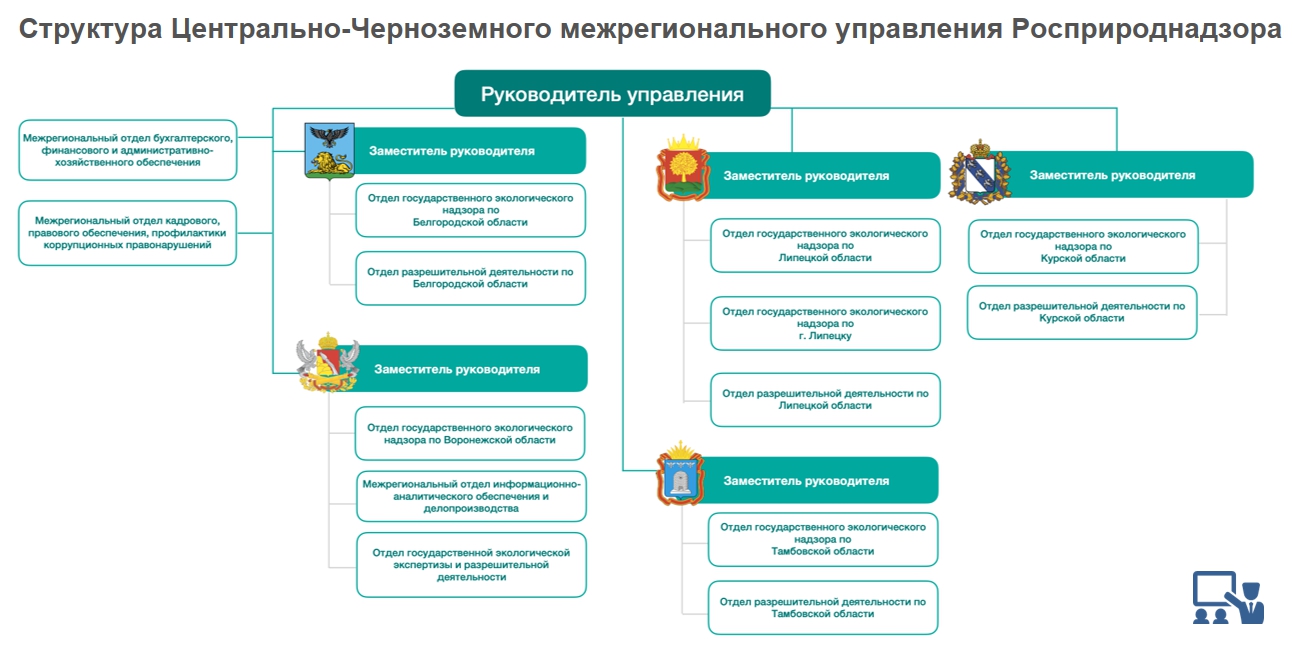 Управление федеральной службы в сфере. Росприроднадзор структура. Структура управления Росприроднадзора. Федеральная служба по надзору в сфере природопользования структура. Росприроднадзор иерархия.