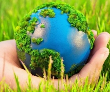 Экология может стать предметом для изучения в школе